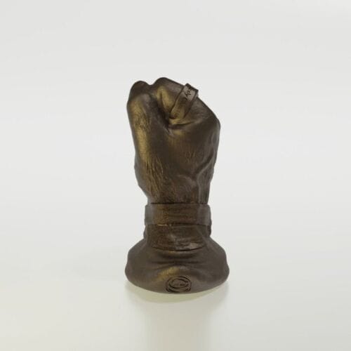 GreedyCluster THE ROGUE PUNCH BUTTPLUG